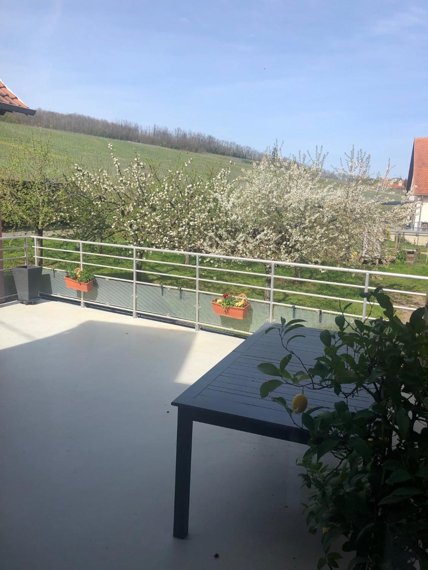 Gîte Binnert Bader Nothalten Extérieur photo